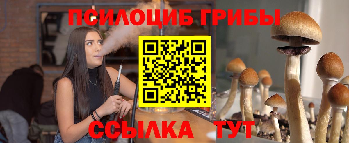 Фролово  Галлюциногенные грибы Psilocybe  закладка  Вход с VPN 